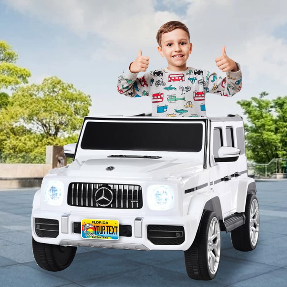 Inkmyplate Personalized Florida Dolphin Small License Plate | Motorcycle 7X4 In | 3 Sizes | Custom License Plates For Kids Bicycles | Power Wheels | Wagons | Atv | Usa Thick .040 Aluminum