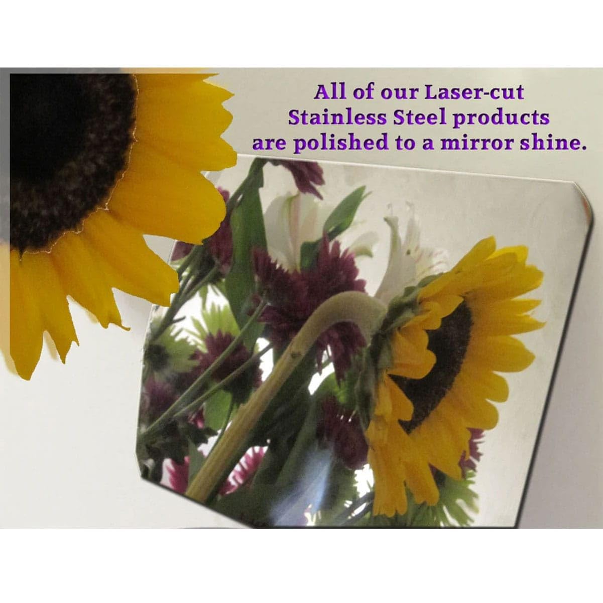 Qaa Is Compatible With 2013-2018 Nissan Altima 1 Piece Stainless Gas Door Cover Trim Gc13550