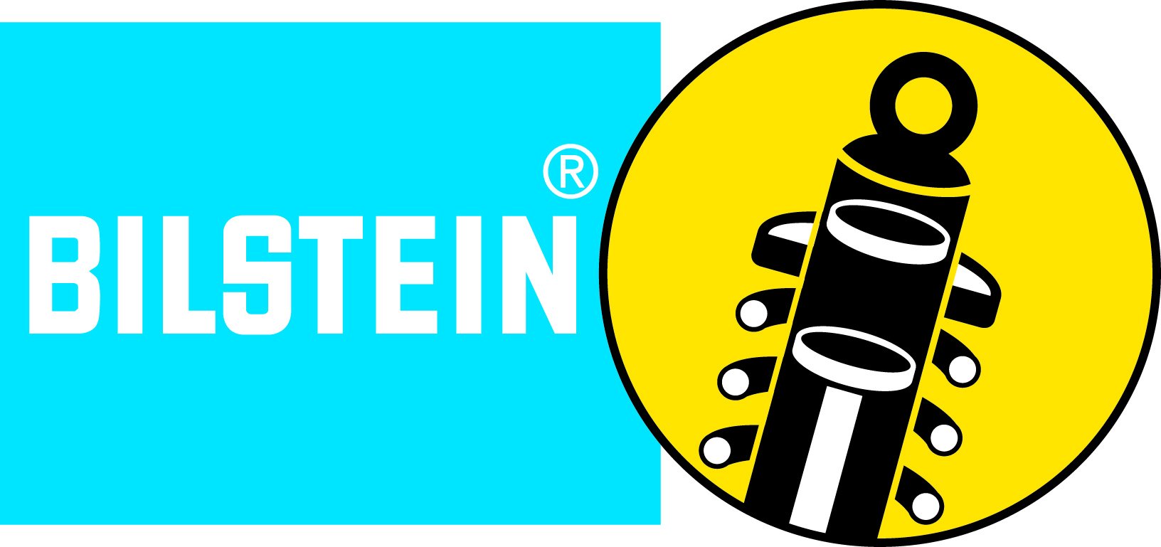 Bilstein Shock, 4600 Series, Monotube, Steel, Yellow Paint, Front, Gm Fullsize Suv/Truck 1999-2007, Each