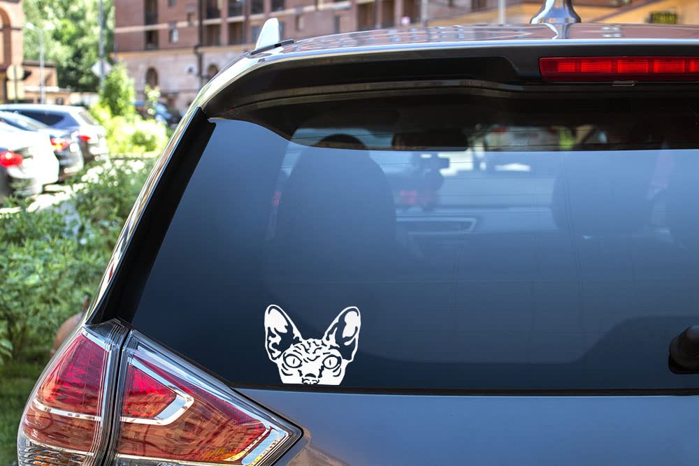 Wirester 6 Inch Clear Vinyl Decal Sticker Decoration For Car Window (Or Any Flat Surface) - Wrinkled Skin Sphynx