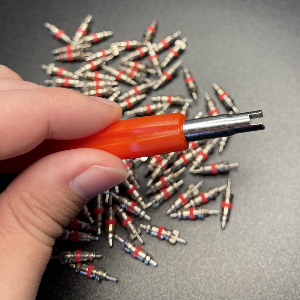 Aracey 6Pcs Tire Valve Stem Removal Tool - Dual Single And Double Heads Valve Core Remover Tool,Great Tire Repair Tool For Various Valve Cores,R134A R12 Hvac Air Conditioning Valve Core Remover