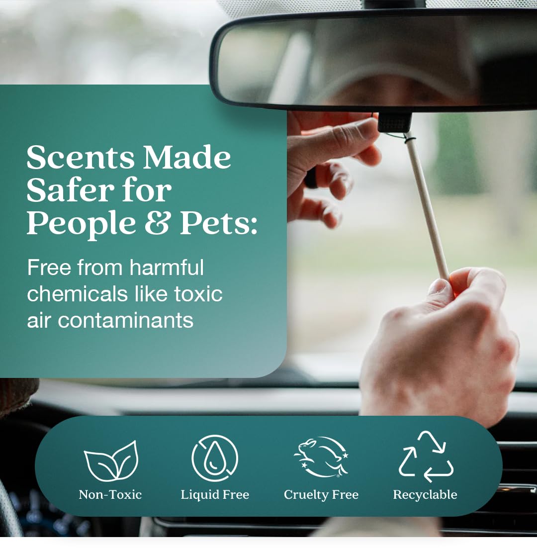 Enviroscent Non-Toxic Car Air Freshener (Seaside Coconut & Verbena) Natural Car Air Freshener | Essential Oil Diffuser | Car Sce