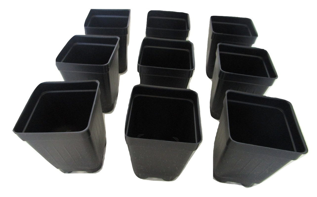 25 Square Extra Deep Landmark Nursery Pots - Press Fit (250)
