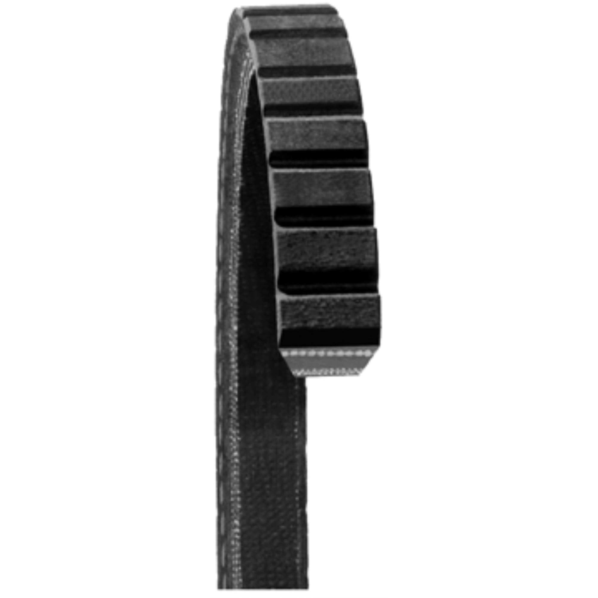 Dayco 15595 Fan Belts , Black