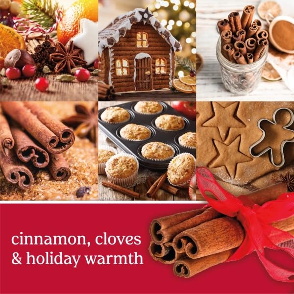 Yankee Candle Scent Plug Refill, Sparkling Cinnamon, 0.63 oz, Pack of 4