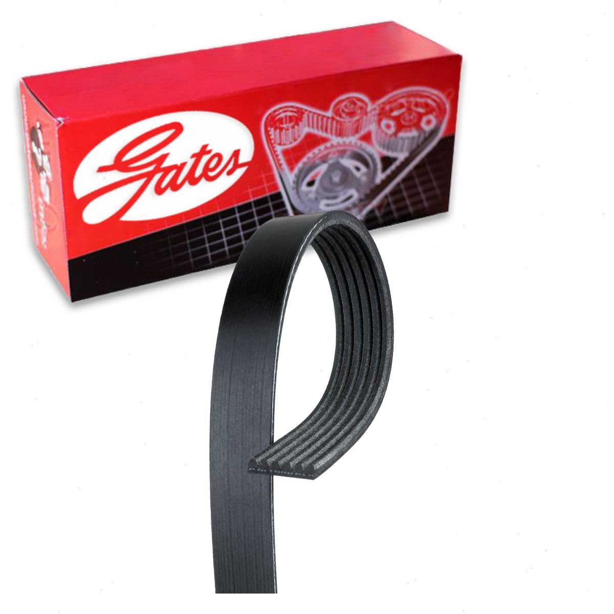 Gates Micro-V Serpentine Belt compatible with Subaru Forester 2.5L H4 2014-2018