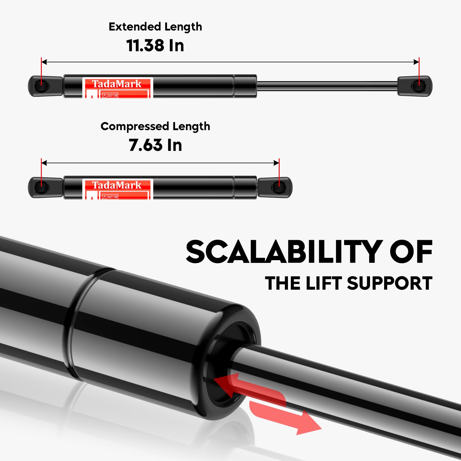 TadaMark Rear Trunk Lift Support Struts Gas Spring Shock for 08-18 Dodge Challenger, 2 Pcs, Black