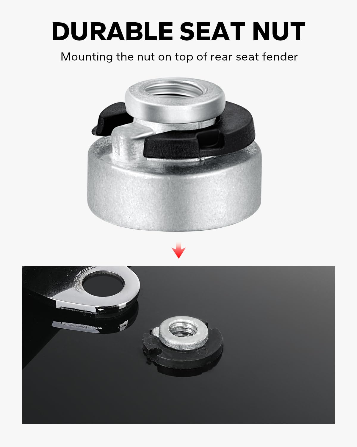 Amazicha Chrome Stainless Steel Seat Bolt Nut Tab Screw Mount for Harley Davidson Sportster Softail Touring Dyna 1997-2024, Model KXDO9481ILBVJ