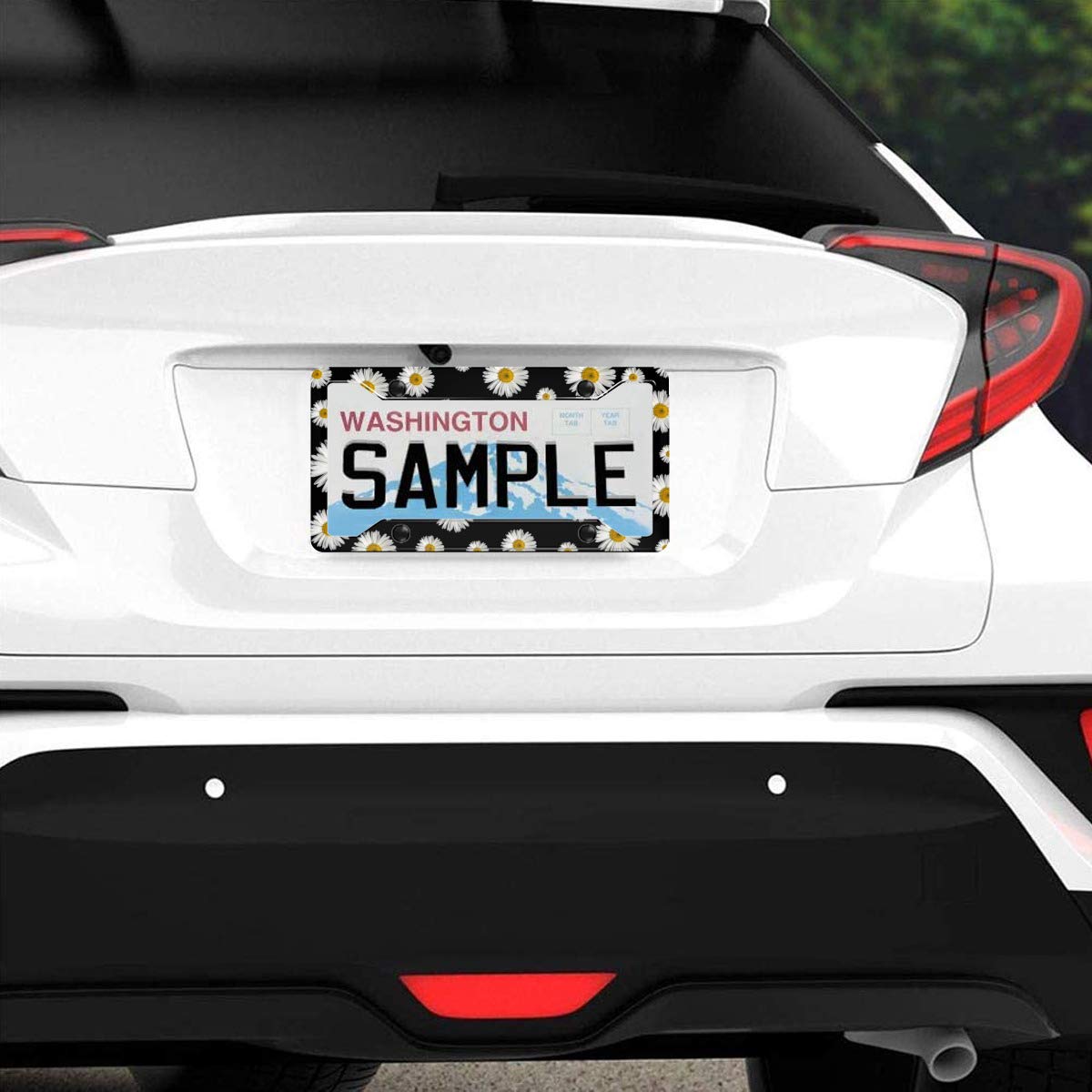Personalized License Plate Frame Stainless Steels Cute White Daisy Black Background License Plate Car Tag Holder With 4 Holes An