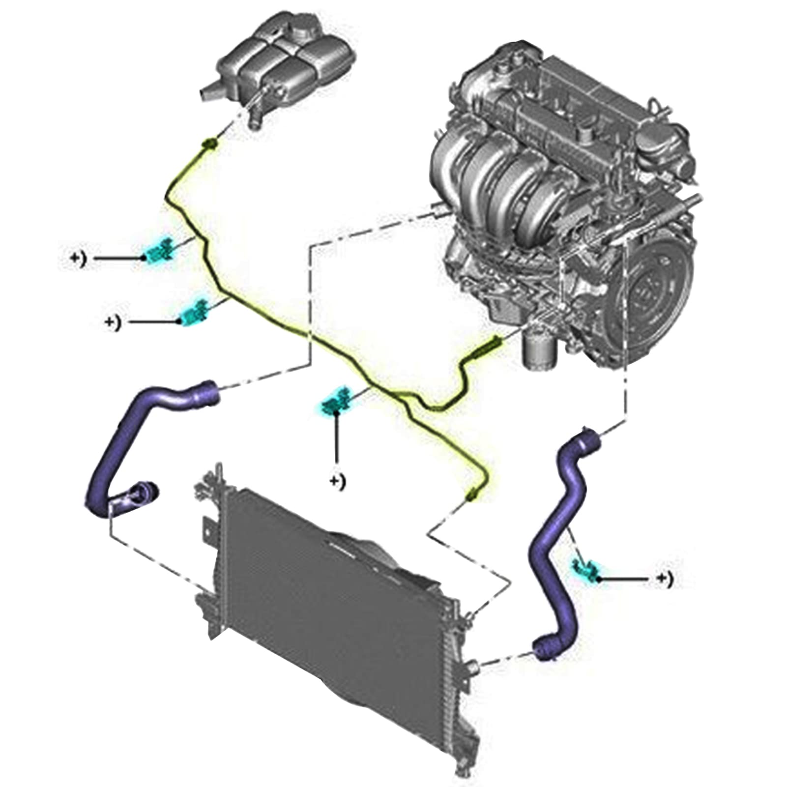 Radiator Reservoir Hose for 2012-2018 Ford Focus 2.0L L4 Non-Turbo Engine, Replaces OEM Part No# BV618K012KF CV6Z-8K012-K