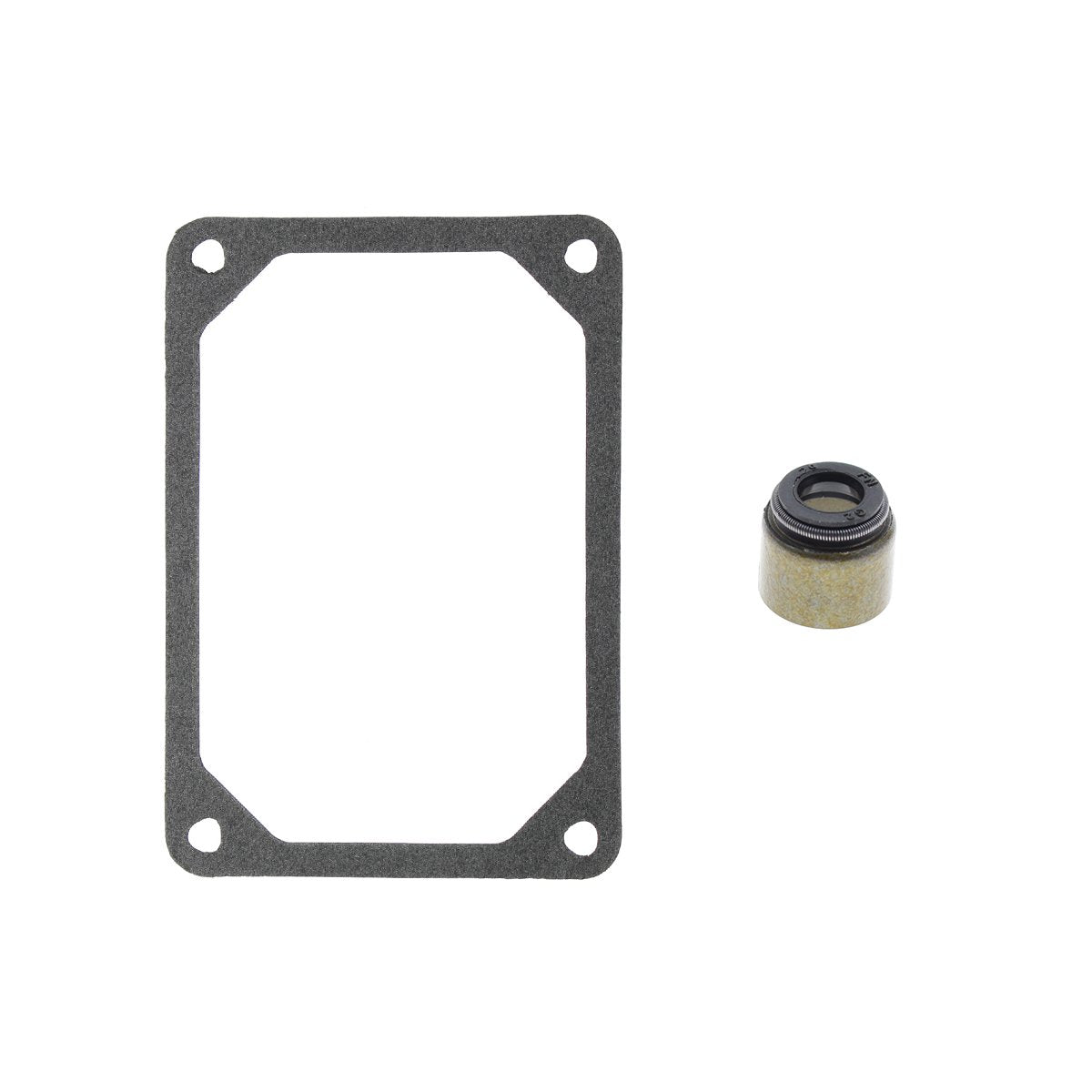 Autokay Valve Gasket Kit Compatible With 794152 690190 Engine 310707 310777 311707 311777 312707 312777 313707 313777 319775 331707 331777 331807 331877 331977