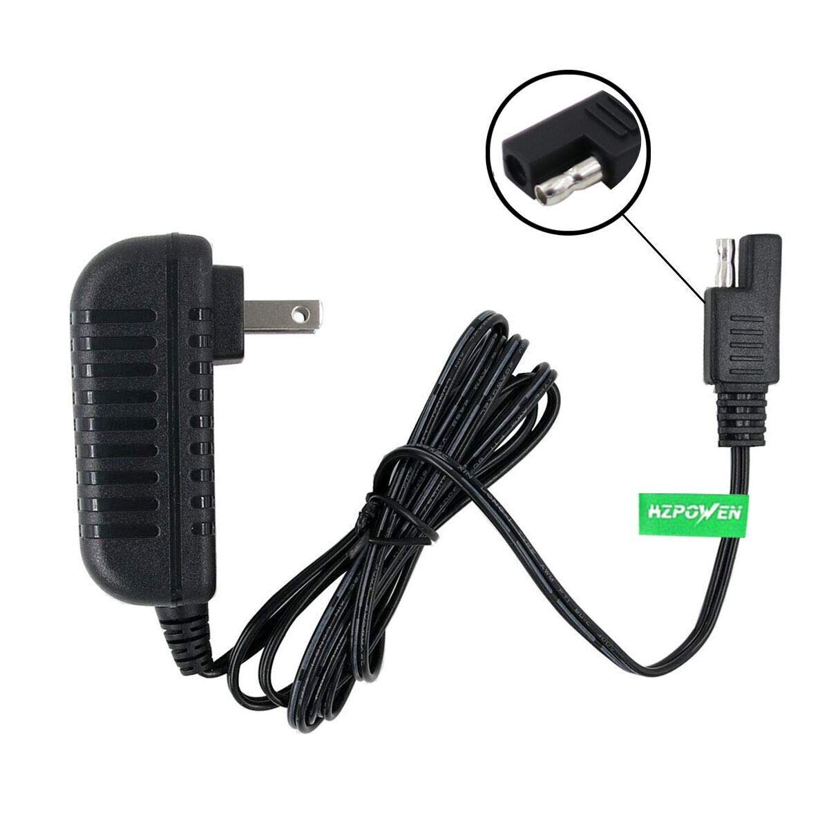 HZPOWEN 6V Replacement Charger for Disney Quad, Large Size, High-Density Polyethylene Material, Fits Marvel & Princess Ride On Toys