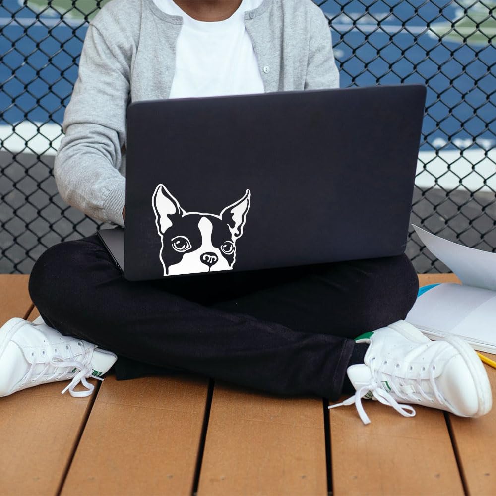 Wirester 6 Inch Clear Vinyl Decal Sticker Decoration For Car Window (Or Any Flat Surface) - Boston Terrier Dog