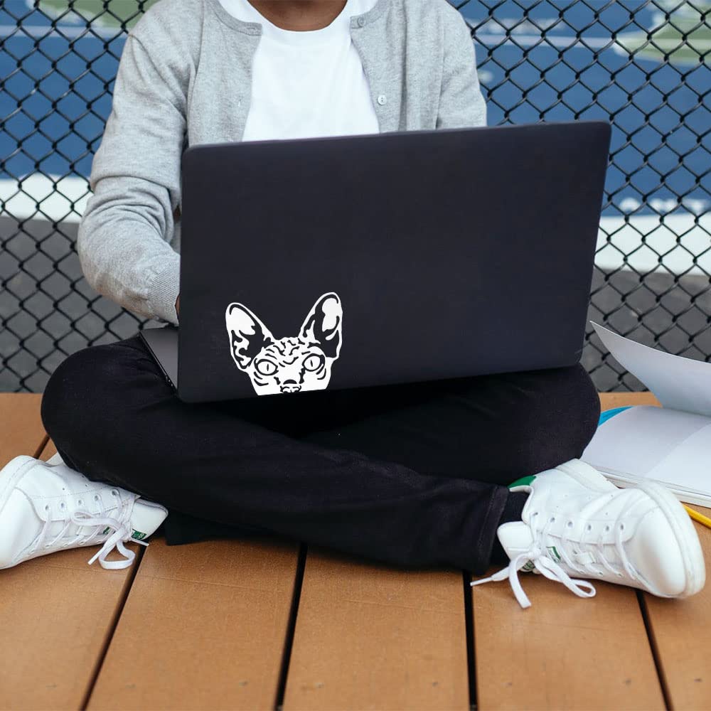 Wirester 6 Inch Clear Vinyl Decal Sticker Decoration For Car Window (Or Any Flat Surface) - Wrinkled Skin Sphynx