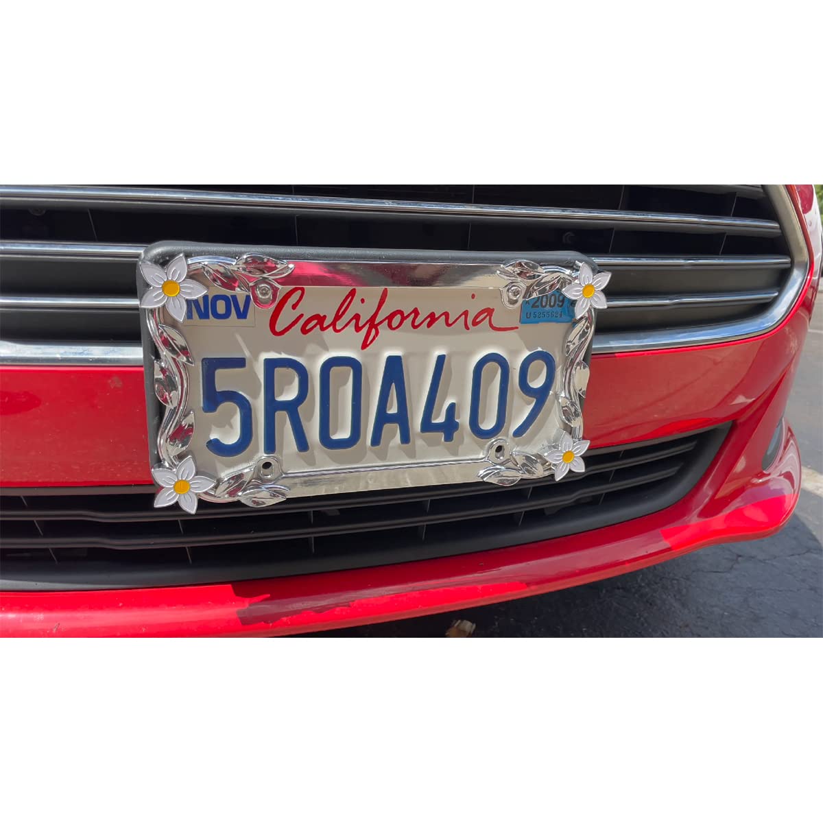 Cruiser Accessories 19130 License Plate Frame - Daisy, Chrome-Plated Metal
