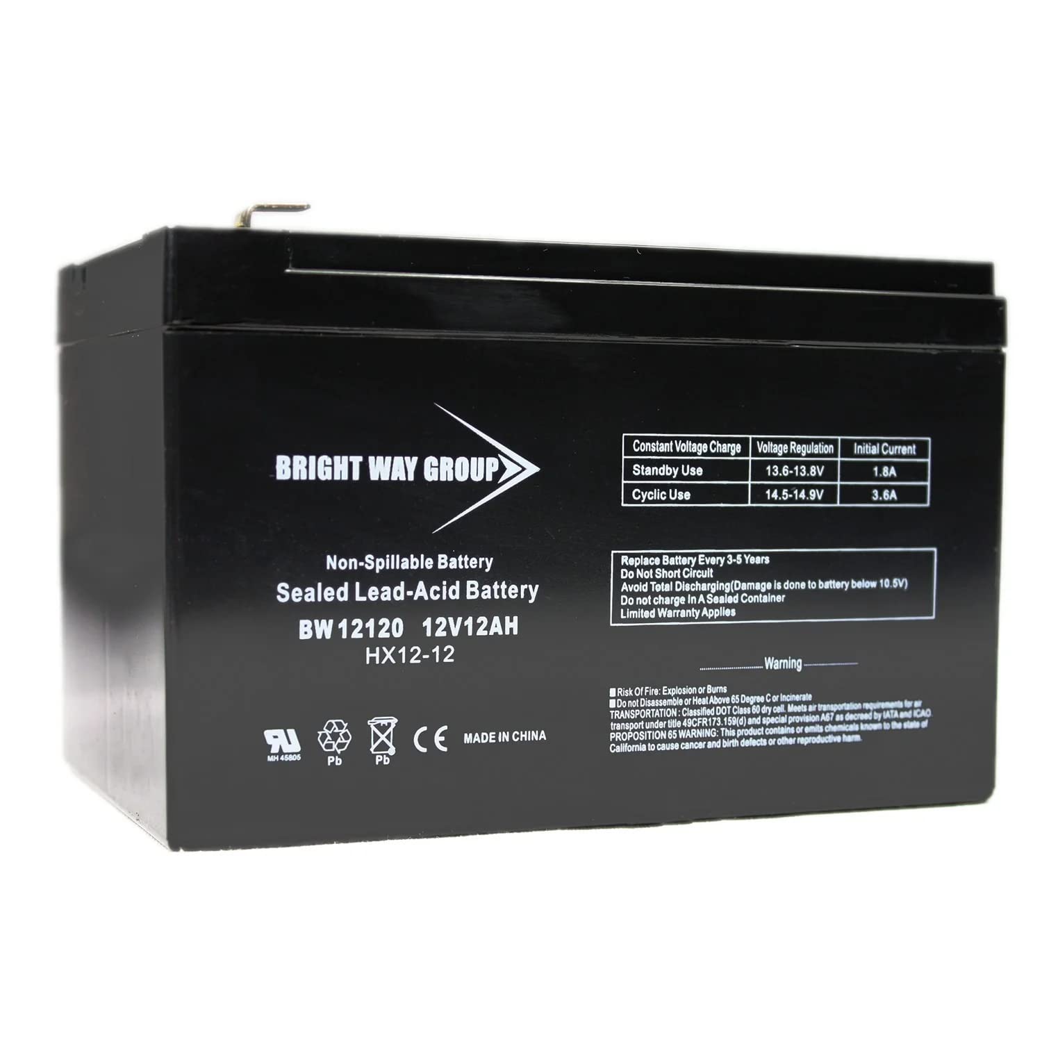 Bright Way Group Bw 12120 F1 (0193) Bwg 12120 F1 Sealed-Lead Acid Battery