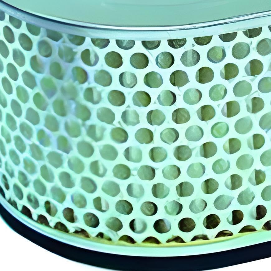 Hiflofiltro HFA3705 Premium OE Replacement Air Filter, Black