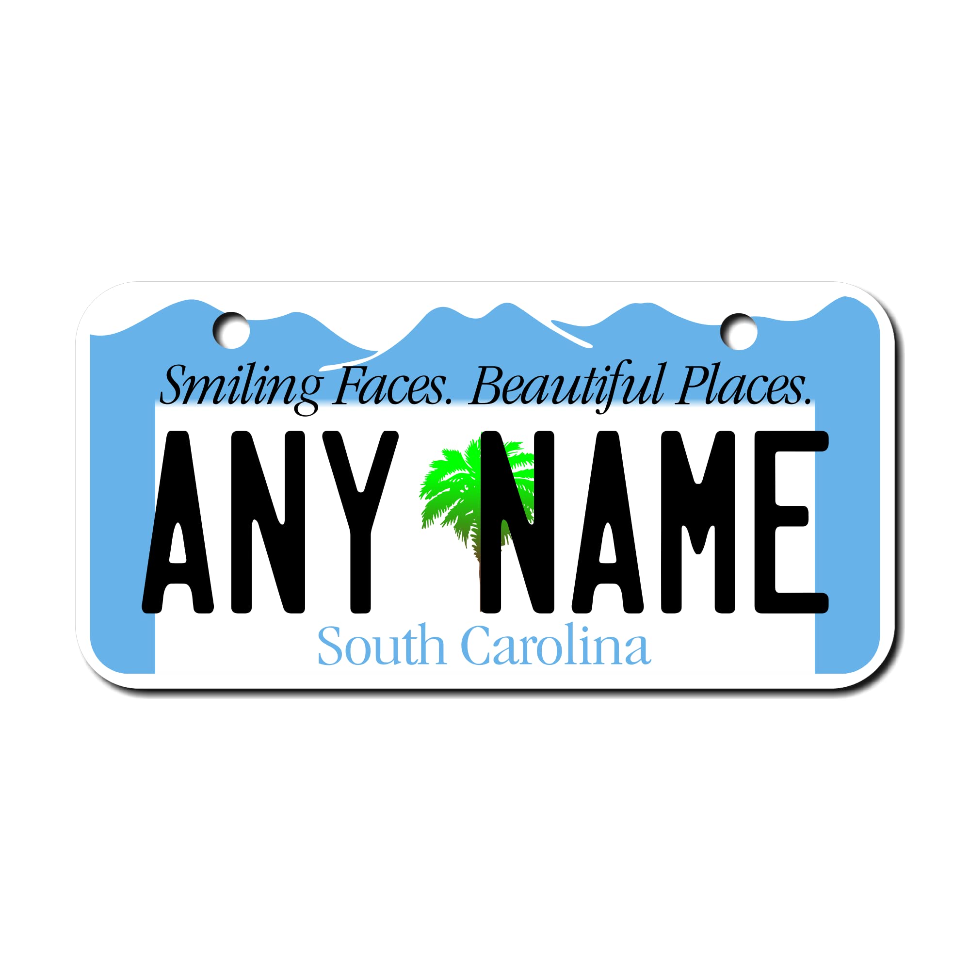 Teamlogo Personalized South Carolina License Plate - Sizes For Kid 'S Bikes, Cars, Trucks, Cart, Key Rings Version 2 (3 X 6 Alum