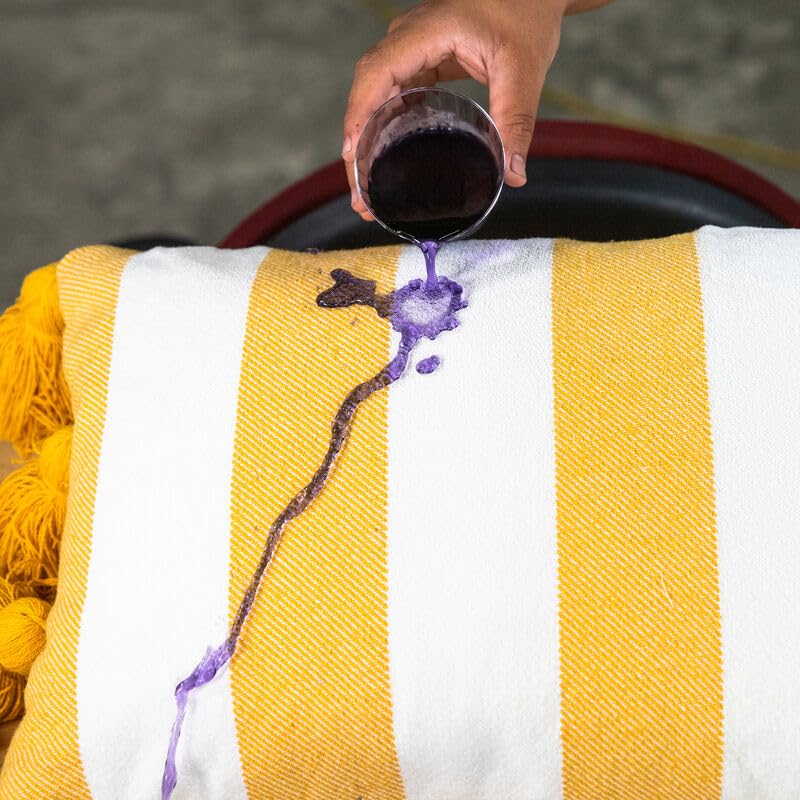 Chemical Guys Spi22616 Hydrothread Ceramic Fabric Protectant & Stain Repellent (Works On Fabric, Carpet & Upholstery), 16 Oz.