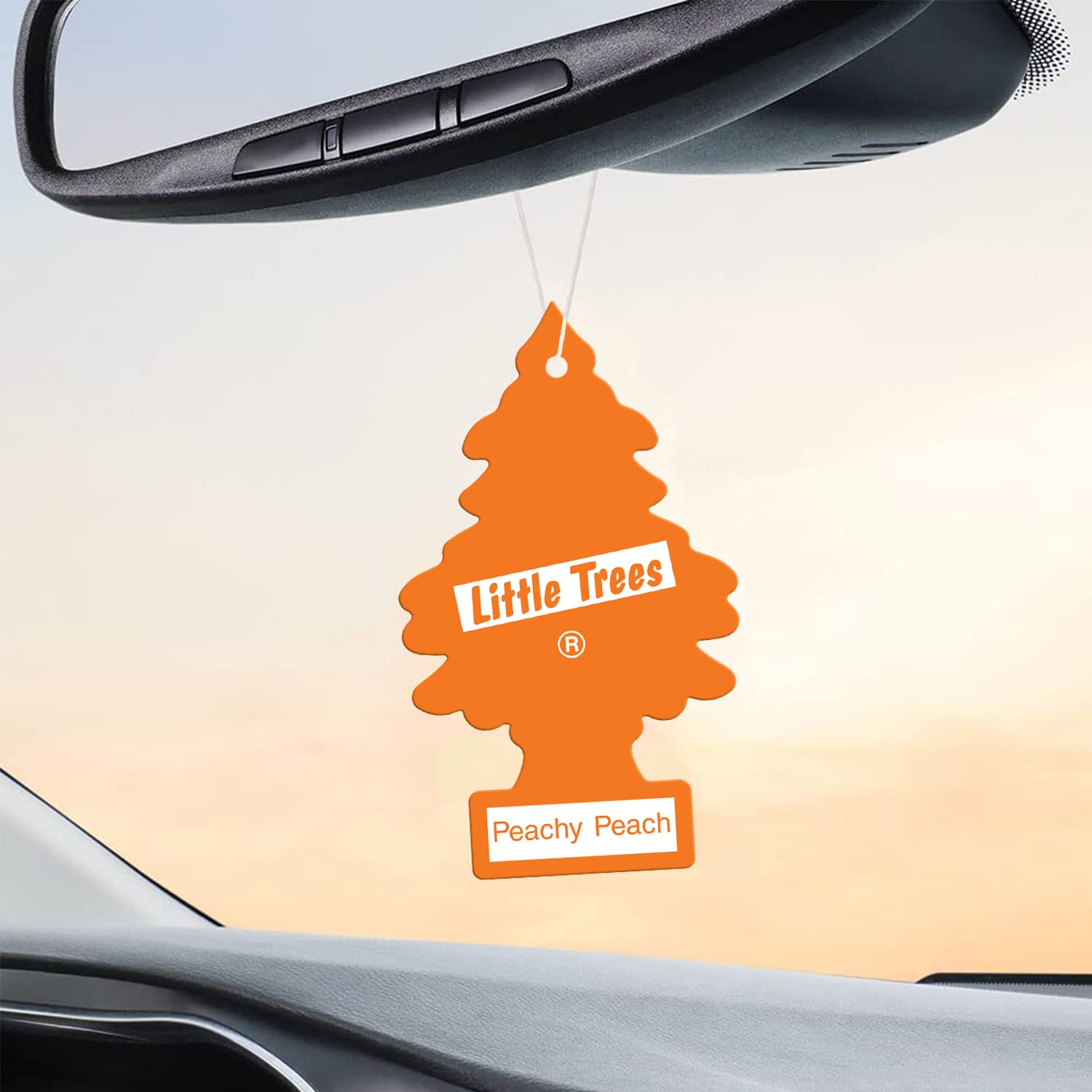 Little Trees Cardboard Hanging Car, Home & Office Air Freshener, Peachy Peach (Pack Of 6)
