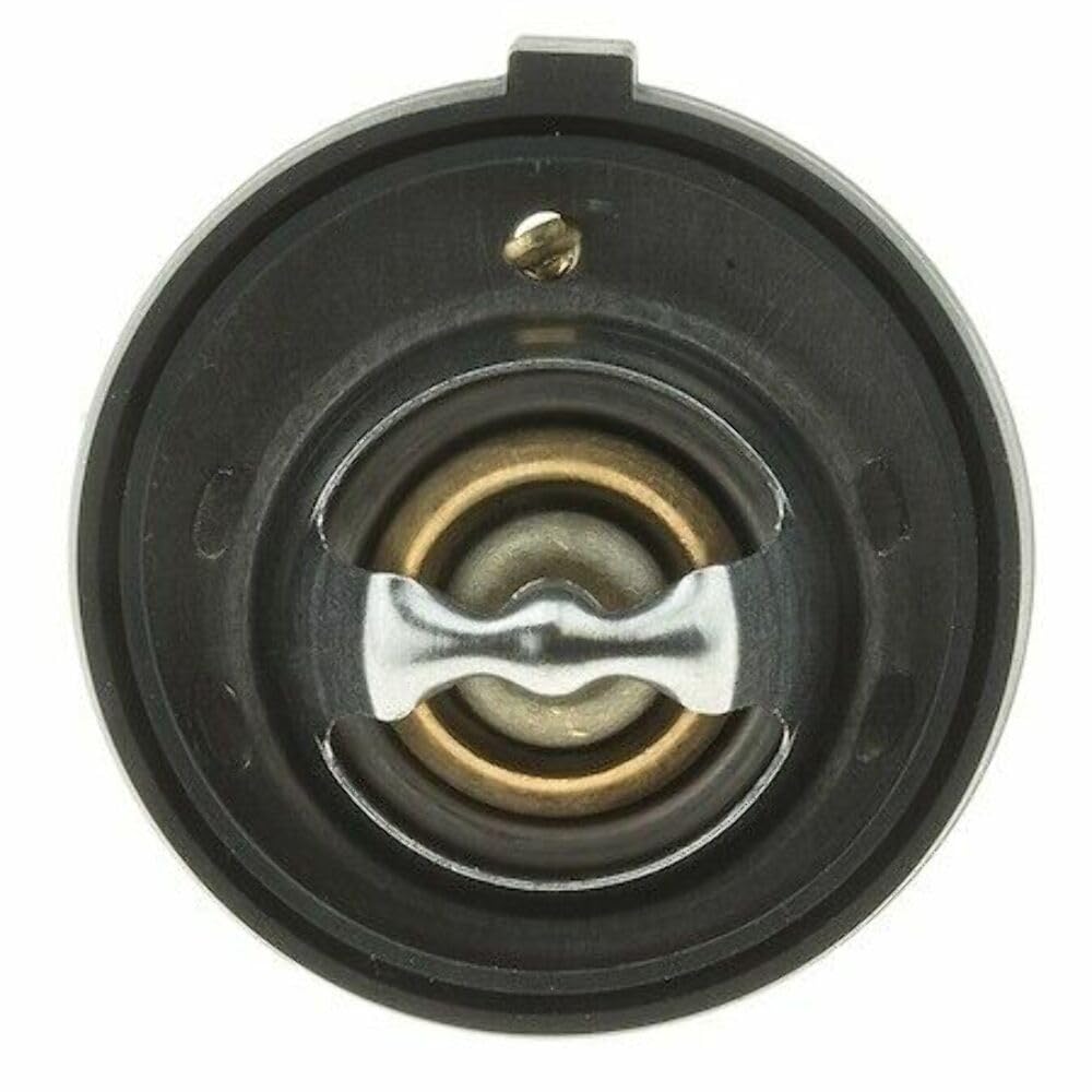 CST 340195 Thermostat