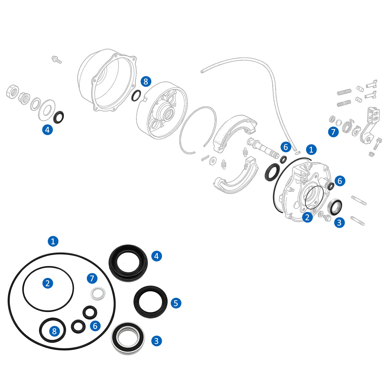 Rear Brake Drum Bearing Seals & O-Rings All Kit for Honda TRX300 Fourtrax 300 1988-2000, 91052-HB3-771 91252-HM5-630 91253-HC4-0