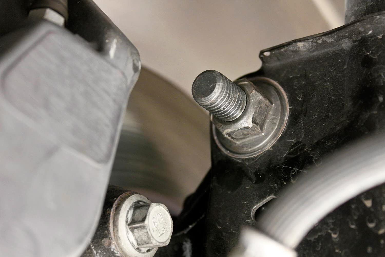 Camber Bolts, Front, 2.5 Degrees Offset