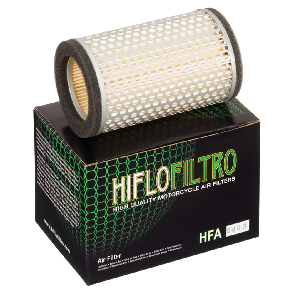 Hiflofiltro Hfa2403 Premium Oe Replacement Air Filter