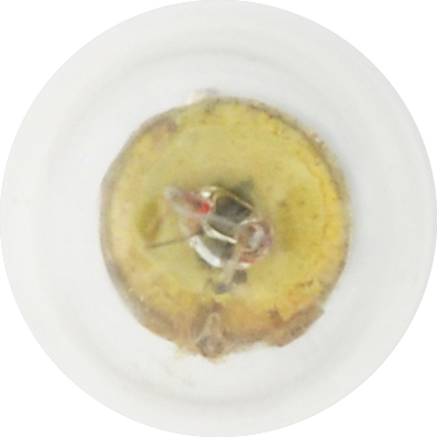 Sylvania 1895 Basic Miniature Bulb, (Contains 10 Bulbs)