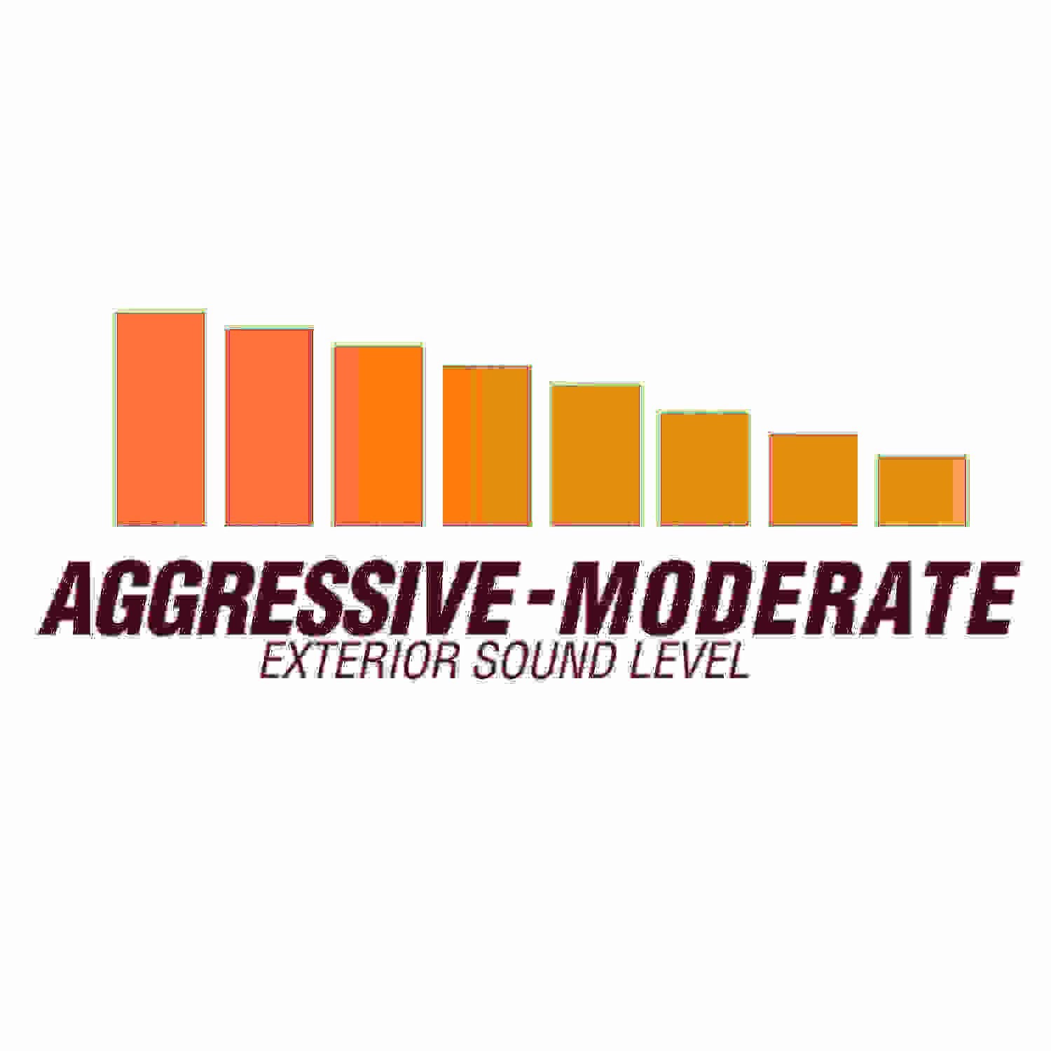 Flowmaster 817669 American Thunder Cat-Back Exhaust System