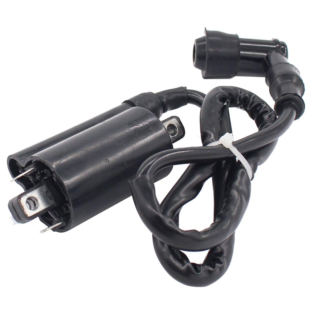Ignition Coil for John Deere LX178 LX186 LX188 LX277 LX279 LX289 325 335 345 Lawn Mower GAS 260 265 285 320 425 445 455 F725 F911 LX172 LX173 LX176 GX345 F725 1800 GAS 240 245 Tractor