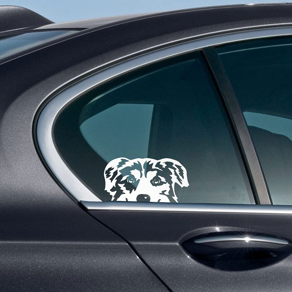 Wirester 6 Inch Clear Vinyl Decal Sticker Decoration For Car Window (Or Any Flat Surface) - Australian Shepherd