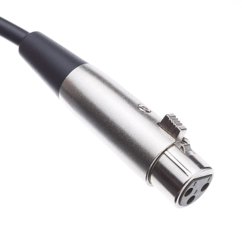 Cablewholesale 3-Pin Xlr Female To 1/4'' Mono Male Audio Cable, 24 Awg Microphone Cable, 10 Feet