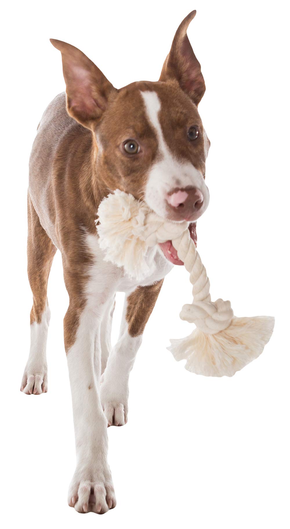 Mammoth Flossy Chews - 100 Per Cent Natural Cotton Rope Dog Toys - Interactive Tug Of War Rope - Dog Chew Rope Flosses Teeth - P