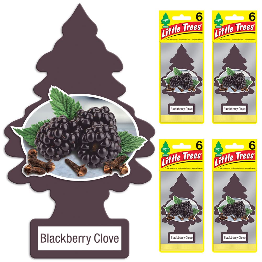 LITTLE TREES Blackberry Clove Air Fresheners - 24 Hanging Car & Home Fresheners, Long Lasting Scent, 4 Count (Pack of 6)
