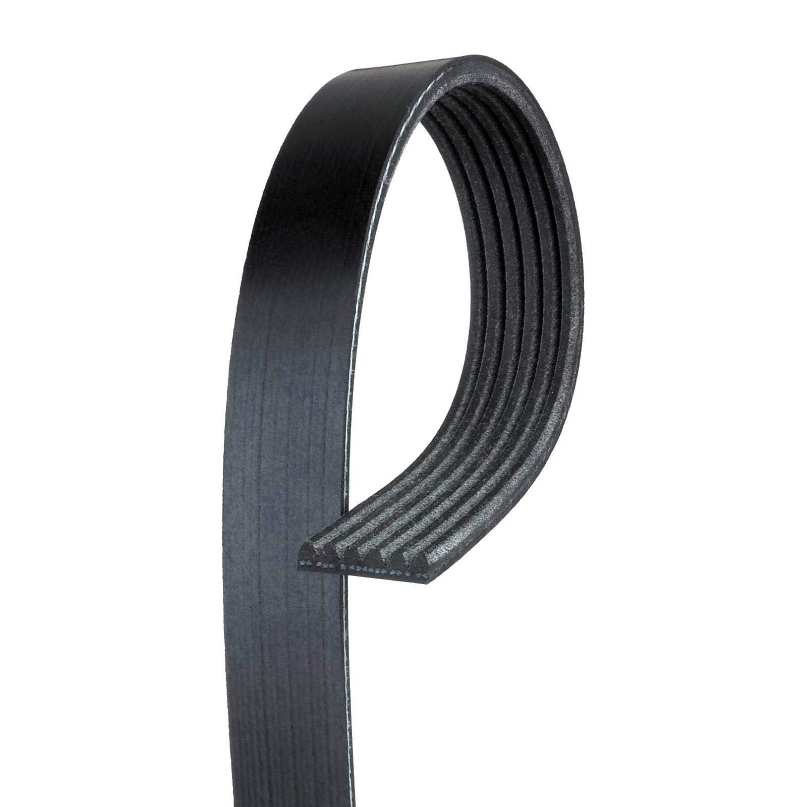 Automotive V-Ribbed Belt (Standard)