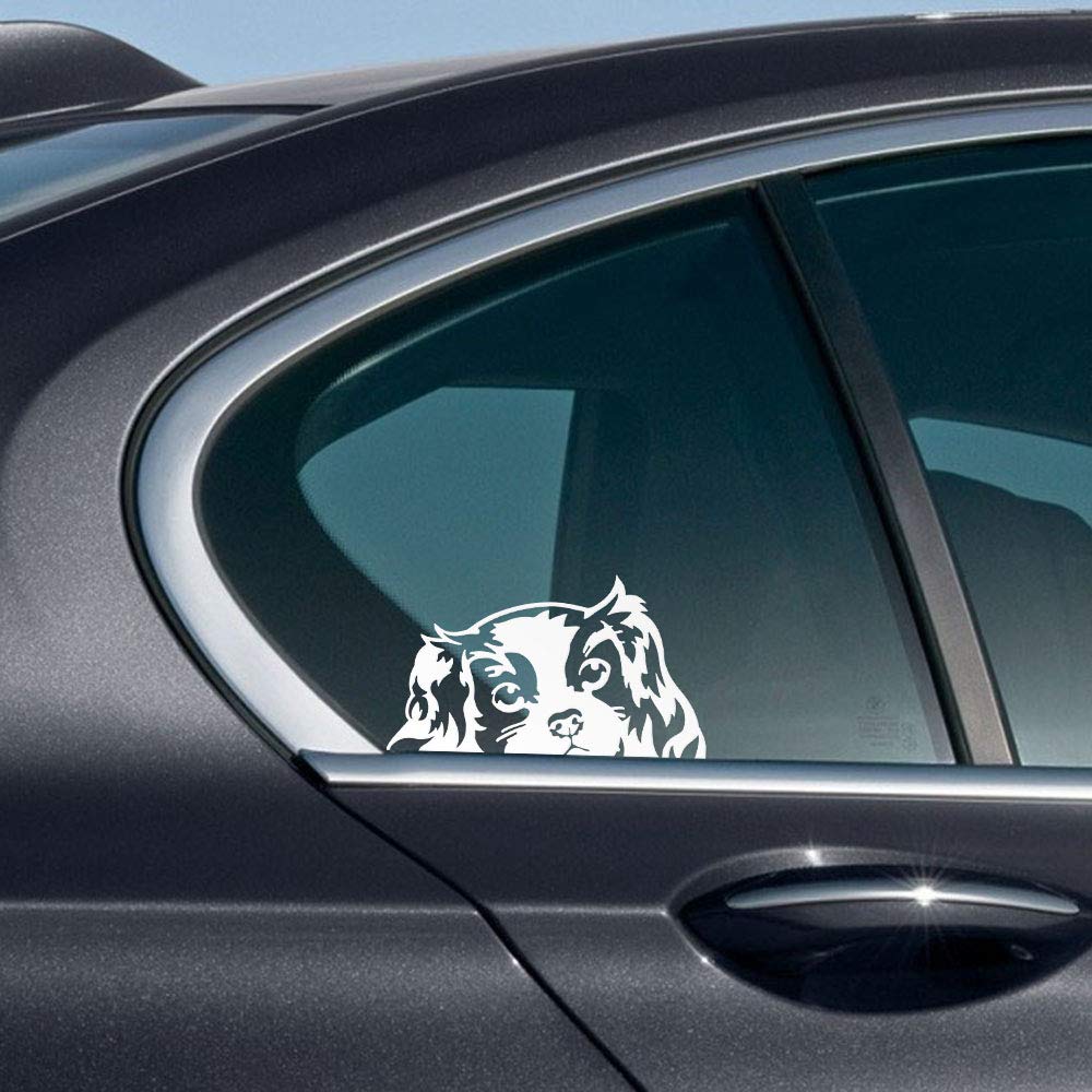 Wirester 6 Inch Clear Vinyl Decal Sticker Decoration For Car Window (Or Any Flat Surface) - Cavalier King Charles Spaniels Dog