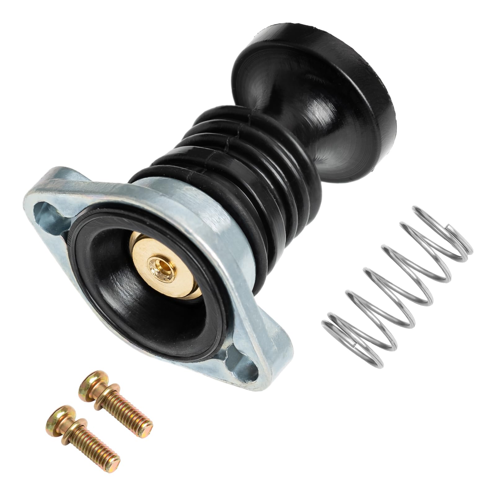 luxlead Carburetor Carb Primer Pump Spring Screw Kit Compatible with Honda ATV TRX300 TRX350 TRX400 TRX450 TRX500 TRX650 Rancher