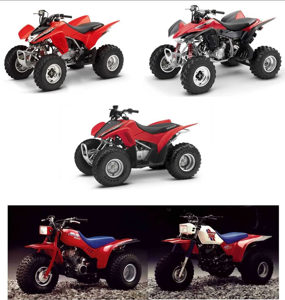 Specbolt Fasteners 250Pc Maintenance Restoration Oe Spec Motorcycle Bolt Kit For Honda 400Ex 250Ex Quad Trx400Ex Trx250X Atc Trx