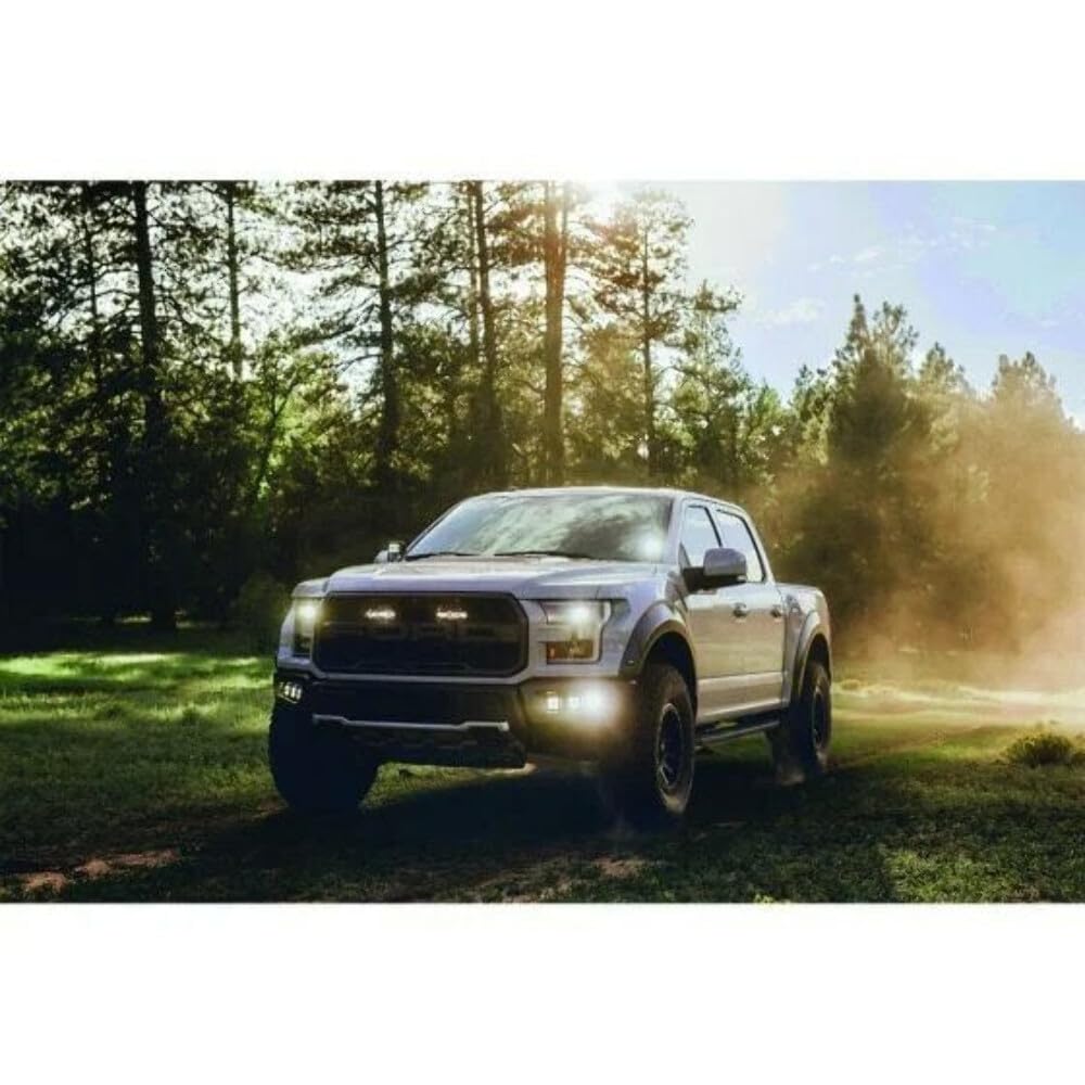 D-Series Pro Driving Fm /2