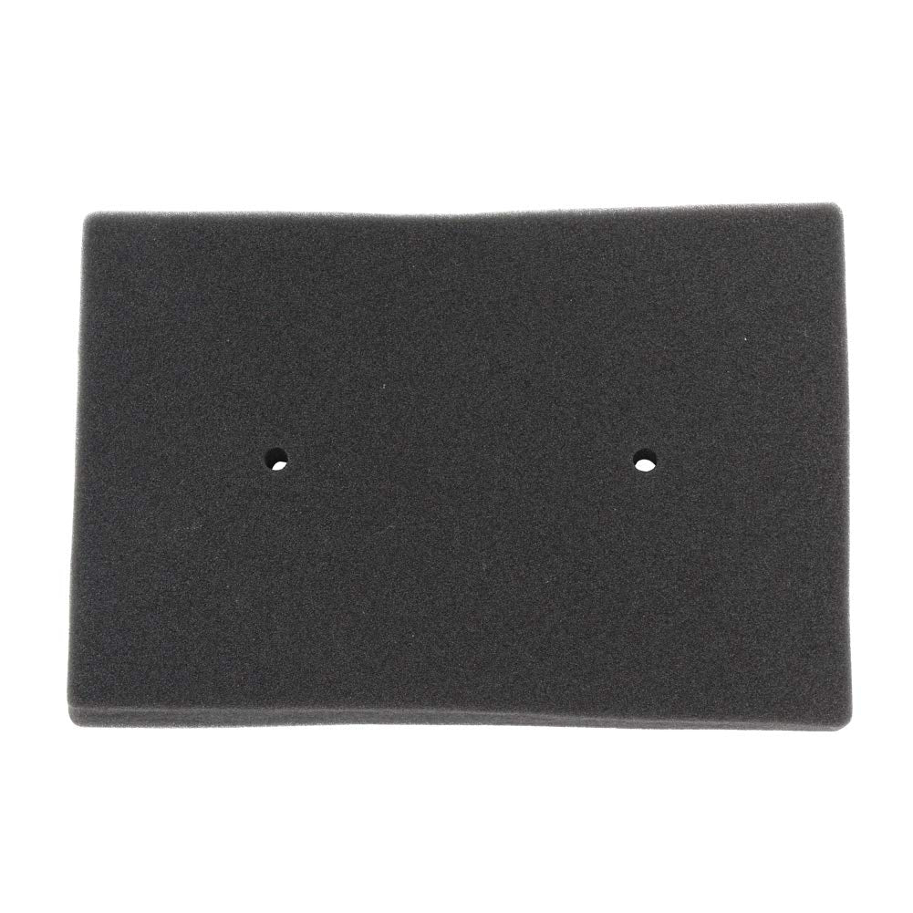 Locopow 11013-0020 Air Filter Hfa2505 For Kawasaki Ninja 250R Ex250 Ninja 300 Ex300 Ex300A Ex300B 2008 2009 2010 2011 2012 2013 2014 2015 2016 2017