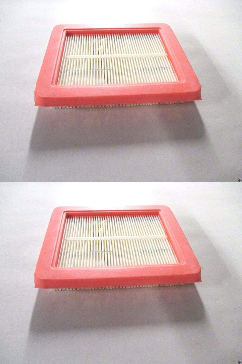 2 Pack Genuine Honda 17211-Z8B-901 Air Filter Fits Gcv160Lao Gcv190La Hrr216K9