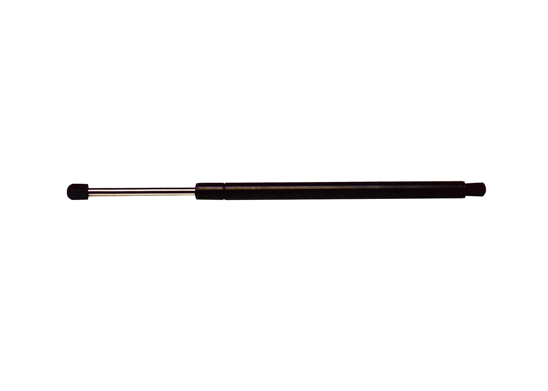 Strongarm 4574 Liftgate Lift Support, Pack Of 1, Black