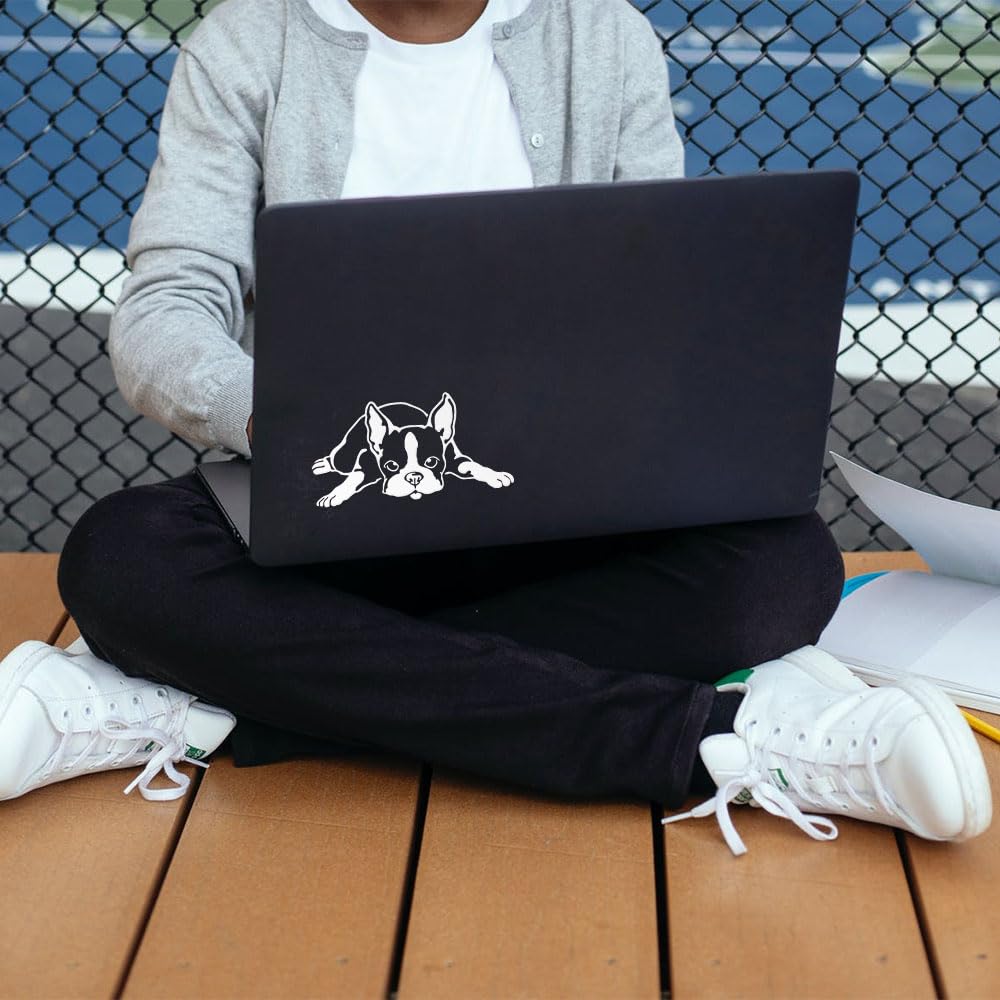 Wirester 6 Inch Clear Vinyl Decal Sticker Decoration For Car Window (Or Any Flat Surface) - Boston Terrier Dog Lying Down Lookin