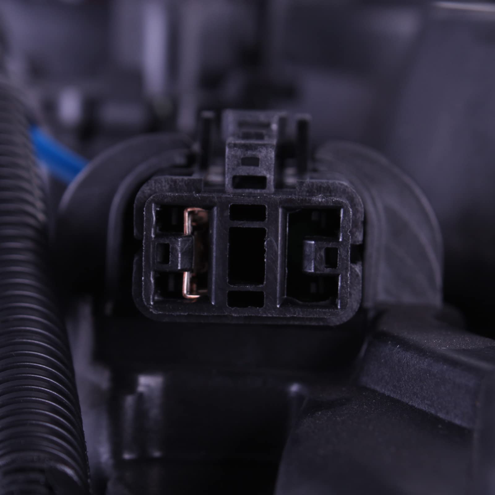 TYG OE Replacement(CAPA Quality) Cooling Fan Extra Silent for 2000-2007 Ford Focus 2.0L SOHC / 2000 FOUCS 2.0L DOHC | 1S4Z-8C607