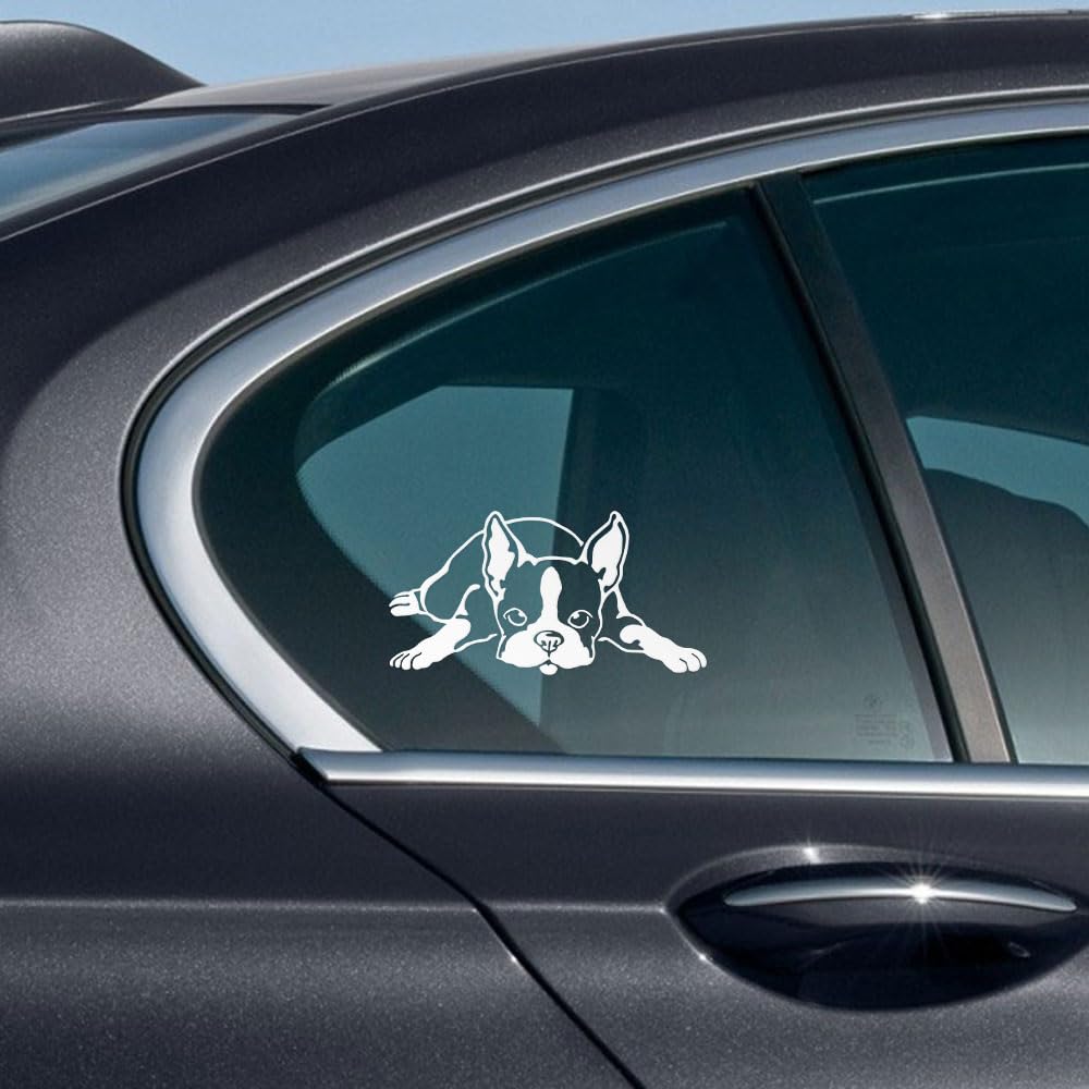 Wirester 6 Inch Clear Vinyl Decal Sticker Decoration For Car Window (Or Any Flat Surface) - Boston Terrier Dog Lying Down Lookin