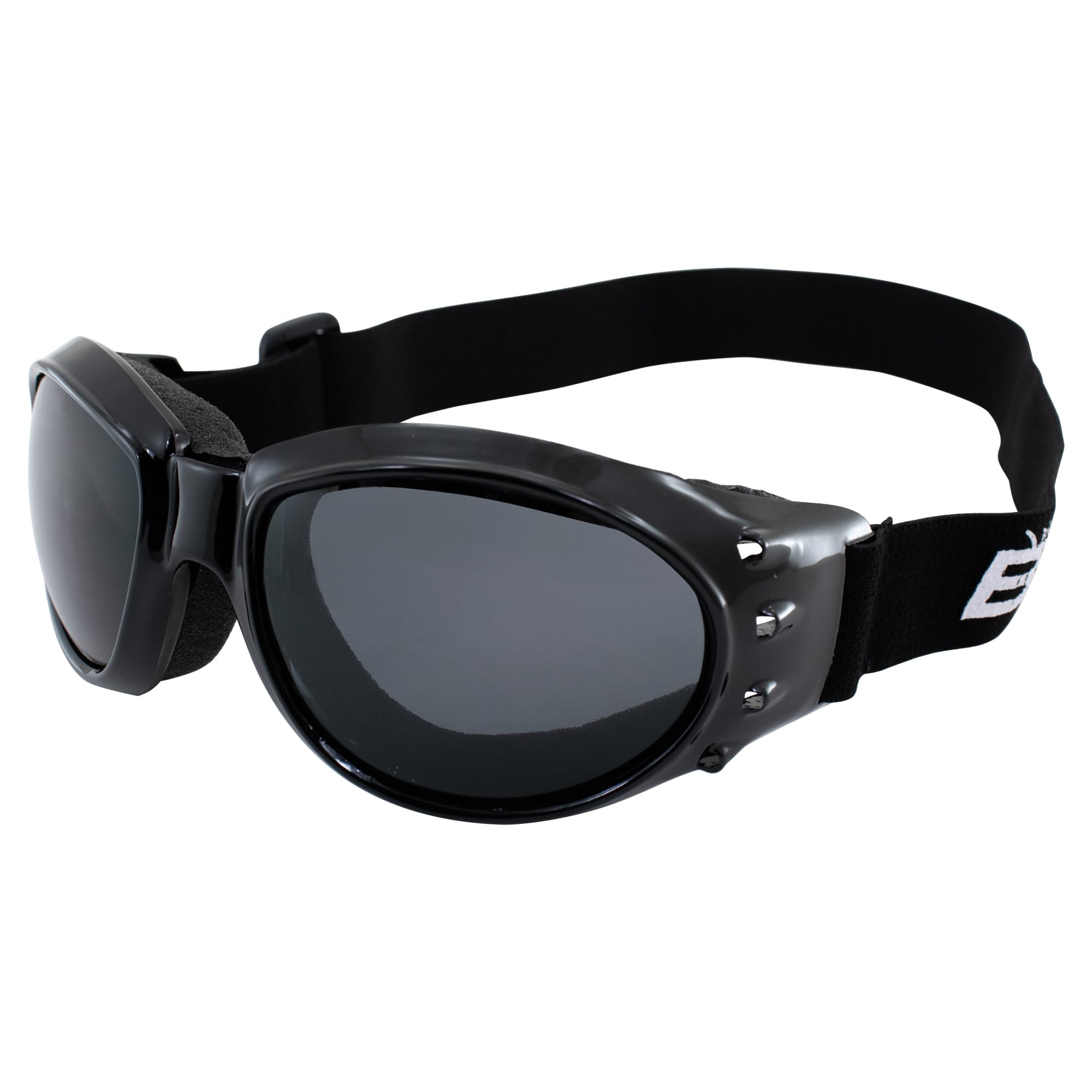 Birdz Eyewear Eagle Motorcycle Goggles (Black Frame/Polarised Smoke Lens)