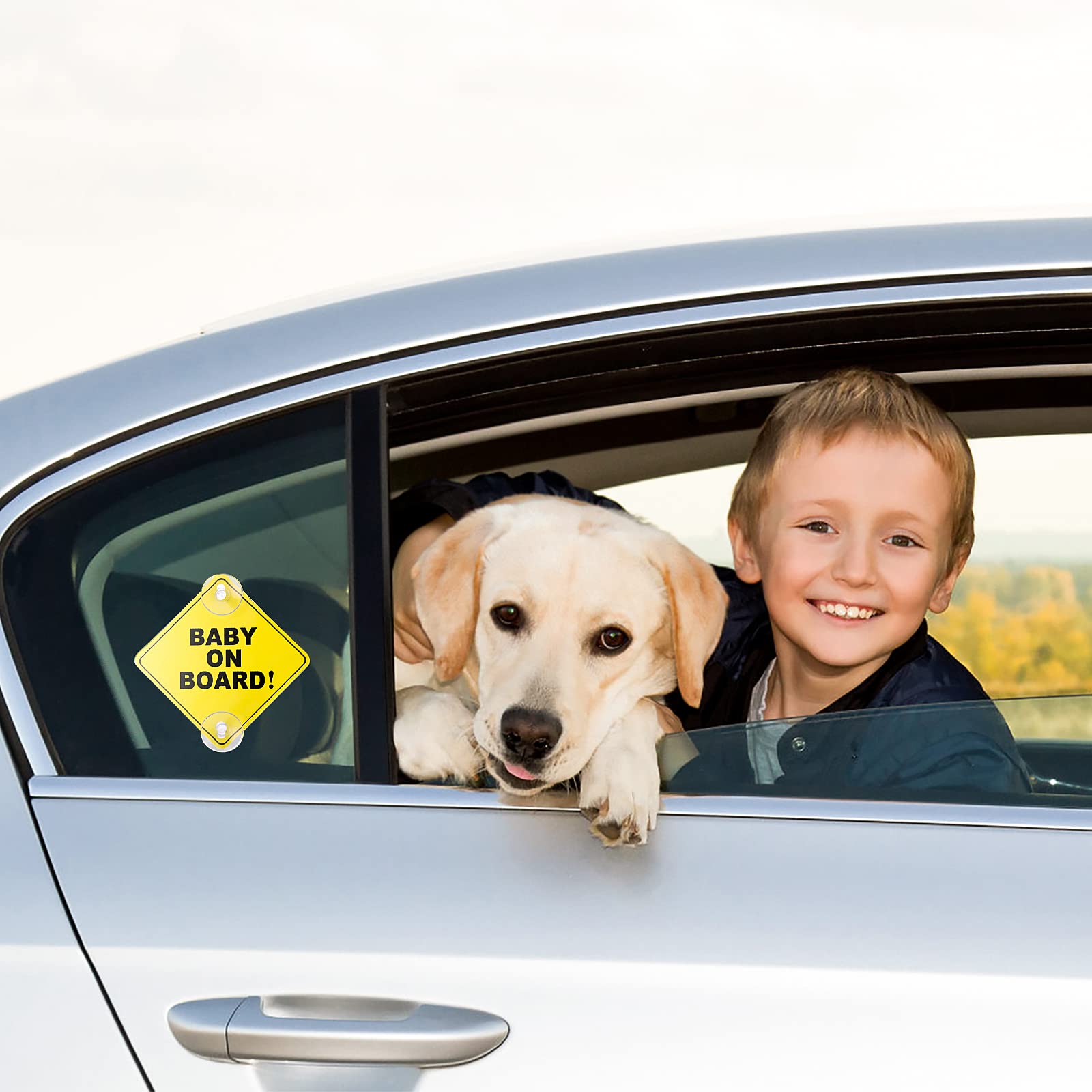 Cobee Baby On Board Car Warning Signs, 2 Pcs 5 ''X5 '' Safety Car Sign With Double Suction Cups, Baby In Car Sticker For Car Win