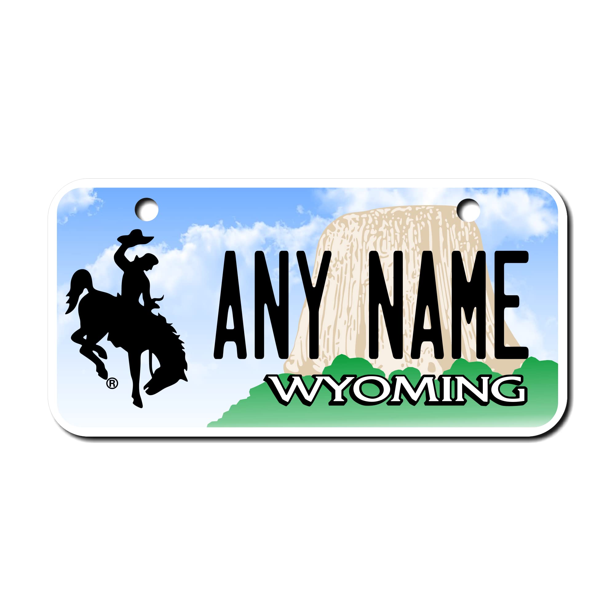 Teamlogo Personalized Wyoming License Plate - Sizes For Kid 'S Bikes, Cars, Trucks, Cart, Key Rings Version 1 (3 '' X 6 '' Alumi