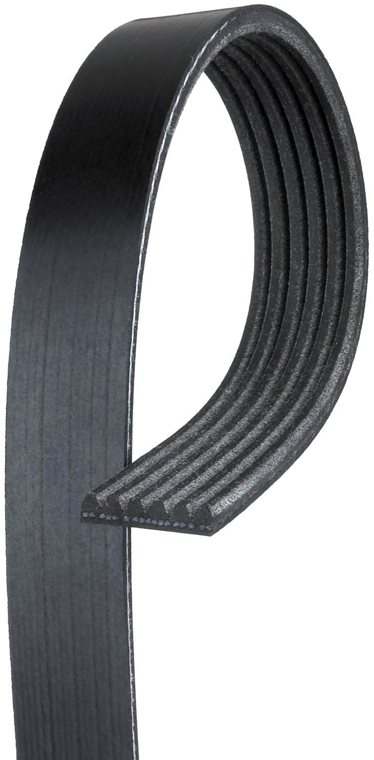 Automotive V-Ribbed Belt (Standard)